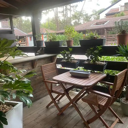 Appartement Calme Bord De Foret Lacanau Exterior photo