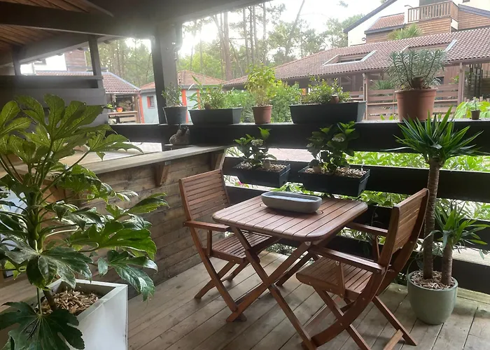Appartement Calme Bord De Foret